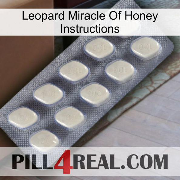 Leopard Miracle Of Honey Instructions 08.jpg